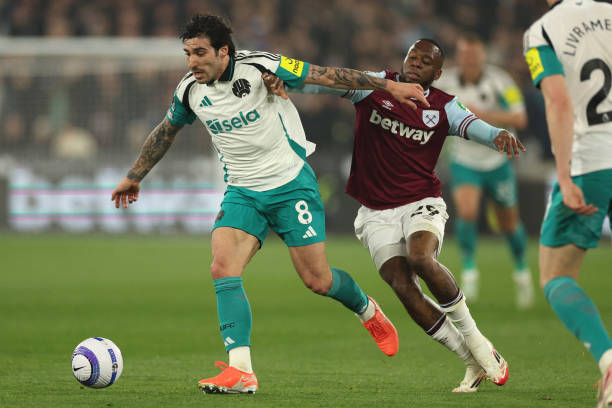 成功保护了 成功保护了